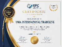 Excellence performance award