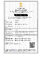IEC CERTIFICATE