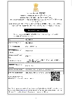 Import-Export Code