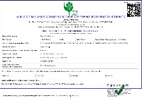 APEDA Certified