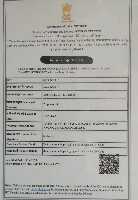 export import for leather goods