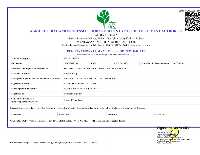 RCMC OF AGRICULTURAL & PROCESSED FOOD  PRODUCTS EXPORT DEVELOPMENT AUTHORITYS