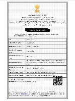 IEC Certificate