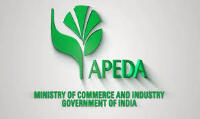 🏅 Recognized Member of APEDA &ndash; Promoting Indian Agri Exports Globally