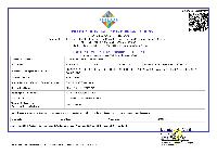 FIEO Certificate
