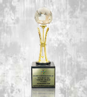 TOP EMERGING EXPORTER NORTHERN REGION BY FIEO 6TH SET