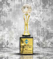 1st "NIRYAT SHREE" PRESIDENT AWARD BY FIEO