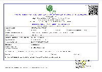 APEDA Certificate