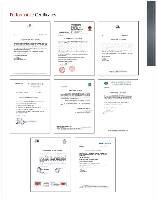 Performance Certificate-1