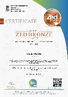 ZED BRONZE