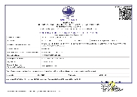 Spice Board Certificate
