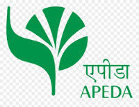 Registered with the Agricultural and Processed Food Products Export Development Authority (APEDA), G