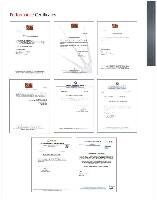 Performance Certificate-2