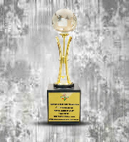 "HIGHEST FOREIGN EXCHANGE EARNER" NORTHERN REGION AWARD BY FIEO