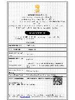 IEC Certificate