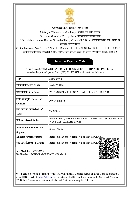 IEC Certificate
