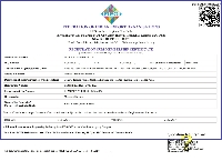 FIEO - Federation of Indian Export Organisations
