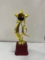 Got the award as a fashion show