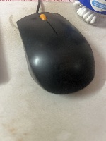 mouse