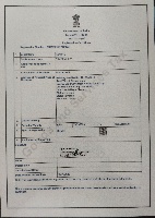 GST Certificate