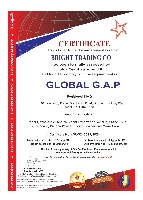 Global Gap