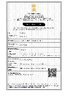 IEC CERITIFICATE