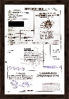 Certificate Of Origin - All India Chamber of Commerce & Industries